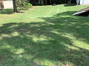 Upper Darby Pa Lawn Care Service Lawn Mowing From 19 Rated Best 2020