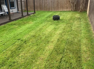 Vancouver Wa Lawn Care Service Lawn Mowing From 19 Rated Best 2020