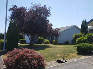 Vancouver Wa Lawn Care Service Lawn Mowing From 19 Rated Best 2020