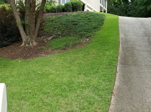 Vancouver Wa Lawn Care Service Lawn Mowing From 19 Rated Best 2020