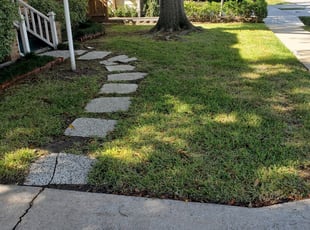 1 Ventura Ca Lawn Care Service Lawn Mowing From 19 Best 2020