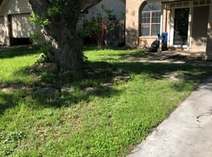 8 Best Lawn Care Services in Verona, PA 2020 | Lawn Mowing