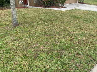 Victorville Ca Lawn Care Service Lawn Mowing From 19 Rated Best 2020
