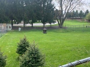 1 Vienna Va Lawn Care Service Lawn Mowing From 19 Best 2020