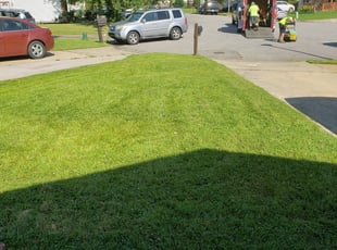 1 Virginia Beach Va Lawn Care Service Lawn Mowing From 19 Best 2020