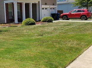 1 Virginia Beach Va Lawn Care Service Lawn Mowing From 19 Best 2020