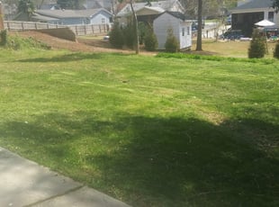 1 Wake Forest Nc Lawn Care Service Lawn Mowing From 19 Best 2020