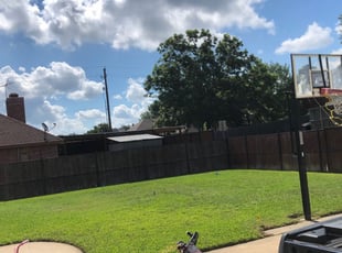 1 Wake Forest Nc Lawn Care Service Lawn Mowing From 19 Best 2020