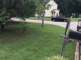 1 Wake Forest Nc Lawn Care Service Lawn Mowing From 19 Best 2020
