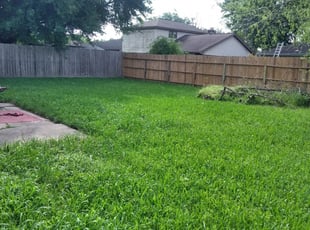 1 Walker La Lawn Care Service Lawn Mowing From 19 Best 2020