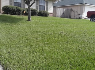 Wallingford Ct Lawn Care Service Lawn Mowing From 19 Rated Best 2020