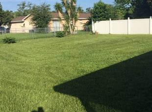Warren Mi Lawn Care Service Lawn Mowing From 19 Rated Best 2020