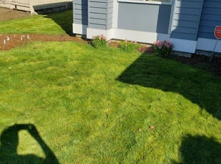 1 Warrenton Va Lawn Care Service Lawn Mowing From 19 Best 2020