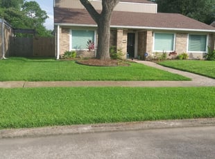 1 Washington Dc Lawn Care Service Lawn Mowing From 19 Best 2020