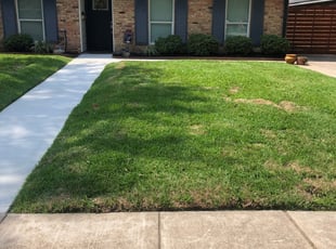1 Watertown Ma Lawn Care Service Lawn Mowing From 19 Best 2020
