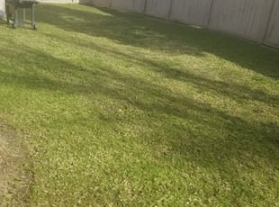 Waxahachie Tx Lawn Care Service Lawn Mowing From 19 Rated Best 2020