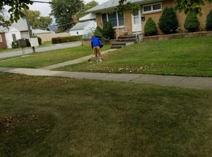 1 Waxhaw Nc Lawn Care Service Lawn Mowing From 19 Best 2020