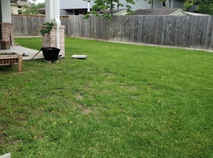 1 Waxhaw Nc Lawn Care Service Lawn Mowing From 19 Best 2020