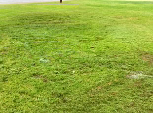 Weatherford Tx Lawn Care Service Lawn Mowing From 19 Rated Best 2020