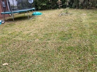 Wellington Fl Lawn Care Service Lawn Mowing From 19 Rated Best 2020