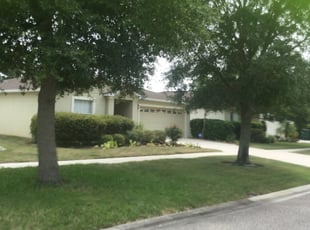 1 Wesley Chapel Fl Lawn Care Service Lawn Mowing From 19 Best 2020