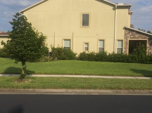 1 Wesley Chapel Fl Lawn Care Service Lawn Mowing From 19 Best 2020