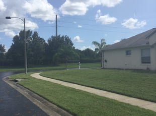 1 Wesley Chapel Fl Lawn Care Service Lawn Mowing From 19 Best 2020