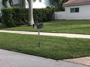 West Chester Pa Lawn Care Service Lawn Mowing From 19 Rated Best 2020
