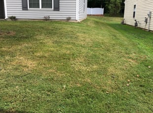 Landscape Design Photos Ideas Raleigh Cary Nc Lawn Care Portfolio