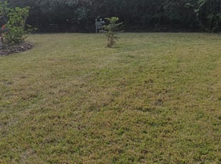 1 West Jordan Ut Lawn Care Service Lawn Mowing From 19 Best 2020