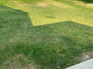 1 West Jordan Ut Lawn Care Service Lawn Mowing From 19 Best 2020