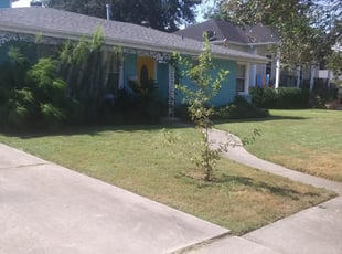 West Palm Beach Fl Lawn Care Service Lawn Mowing From 19 Rated Best 2020