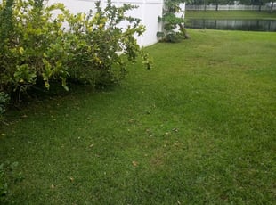 West Palm Beach Fl Lawn Care Service Lawn Mowing From 19 Rated Best 2020
