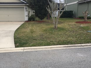 15 Best Lawn Care Services in West Palm Beach, FL 2020 ...