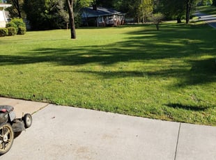 15 Best Lawn Care Services in West Palm Beach, FL 2020 ...