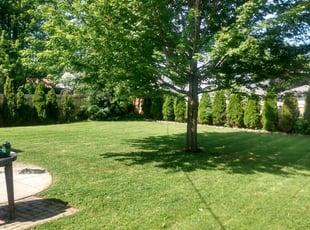 Kissimmee Fl Lawn Care Service Lawn Mowing From 19 Rated Best 2020