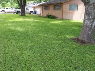 1 Westerville Oh Lawn Care Service Lawn Mowing From 19 Best 2020