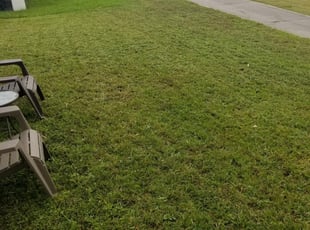 Westminster Co Lawn Care Service Lawn Mowing From 19 Rated Best 2020