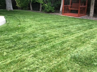 Westminster Co Lawn Care Service Lawn Mowing From 19 Rated Best 2020