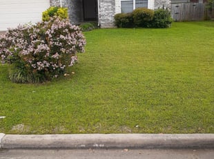 White House Tn Lawn Care Lawn Mowing From 19 Lawnstarter
