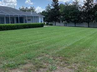 White Lake Mi Lawn Care Service Lawn Mowing From 19 Rated Best 2020