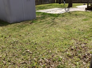Wichita, KS Lawn Care Service | Lawn Mowing from $19 ...