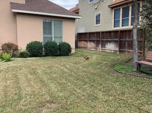 Wickliffe Oh Lawn Care Service Lawn Mowing From 19 Rated Best 2020
