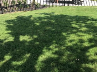 Willingboro Nj Lawn Care Service Lawn Mowing From 19 Rated Best 2020