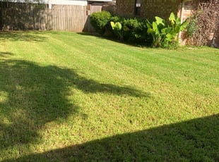 Willowbrook Il Lawn Care Service Lawn Mowing From 19 Rated Best 2020