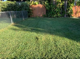 Wilmington De Lawn Care Service Lawn Mowing From 19 Rated Best 2020