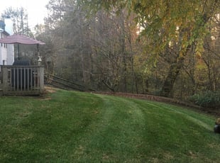 10 Best Lawn Care Services in Wilmington, IL 2020 | Lawn ...