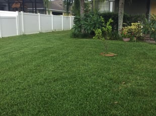 1 Windermere Fl Lawn Care Service Lawn Mowing From 19 Best 2020