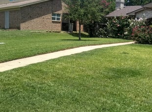 1 Windermere Fl Lawn Care Service Lawn Mowing From 19 Best 2020