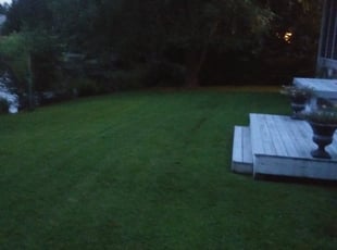 1 Windsor Va Lawn Care Service Lawn Mowing From 19 Best 2020